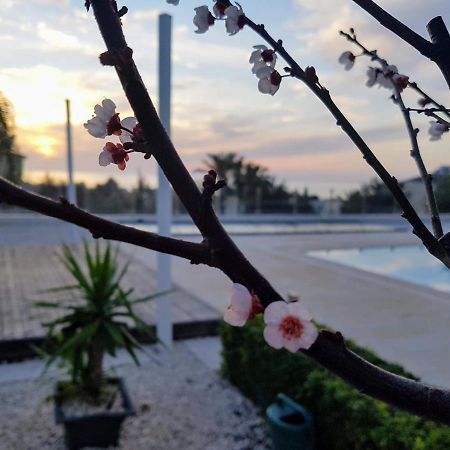 Villa Verdi: Luxury Villa With Private Pool ペイヤ エクステリア 写真