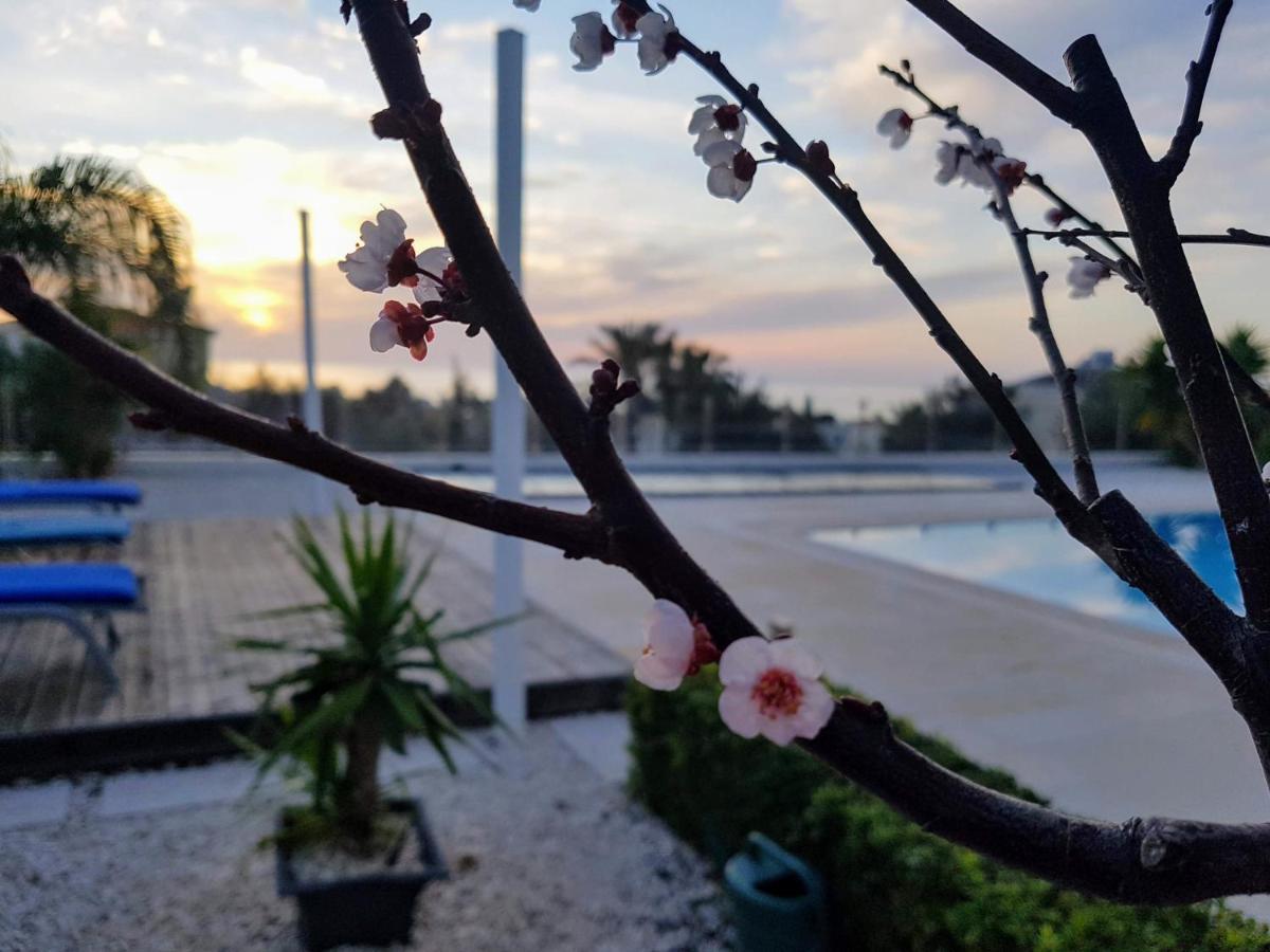 Villa Verdi: Luxury Villa With Private Pool ペイヤ エクステリア 写真